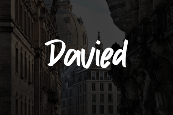 Davied: A Script Font That Speaks Volumes