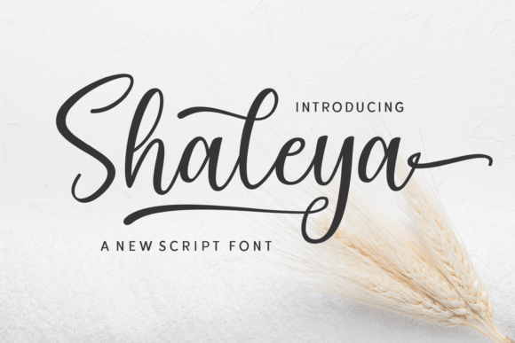 Shaleya: The Script Font That Elevates Your Brand’s Visual Story