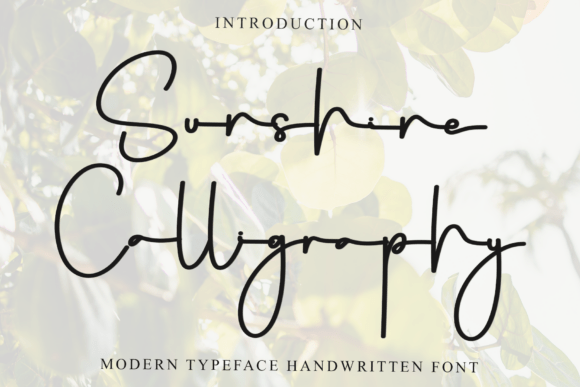 Testing Sunshine Calligraphy for a Branding Project